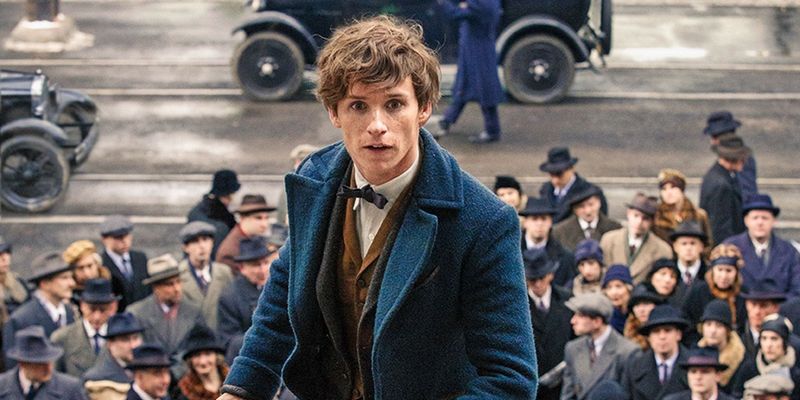 «Фантастические твари» растянутся на пять фильмов - Изображение 1 «Фантастические твари» растянутся на пять фильмов - Изображение 1