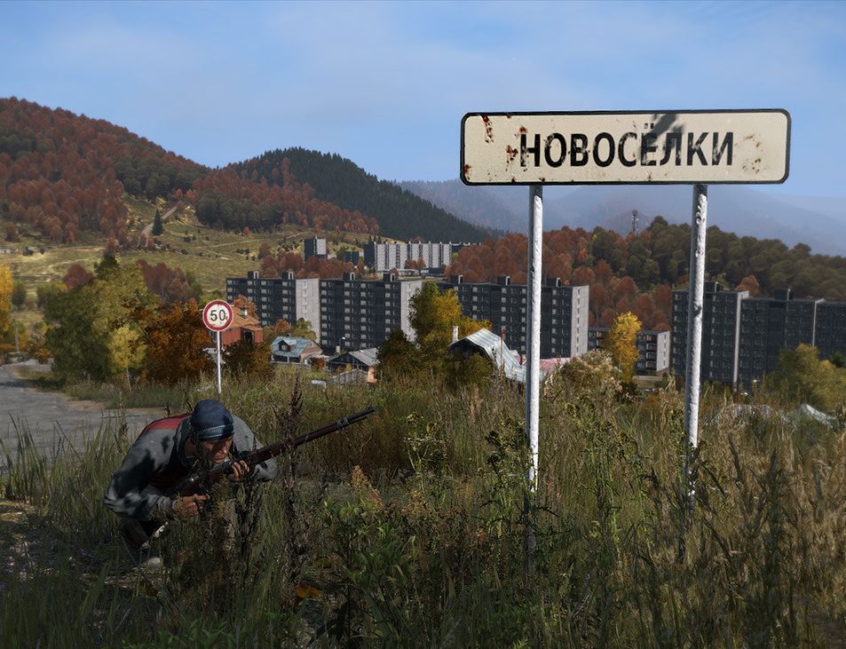 Как узнать версию dayz