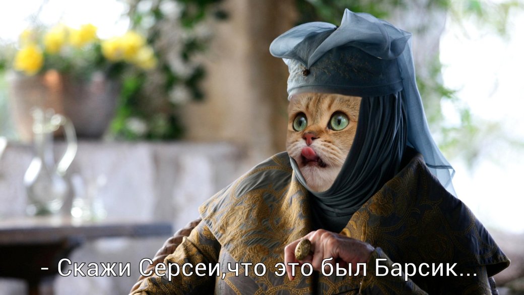 Оленна Тирелл из «Игры престолов» стала героем нового мема с котами. - Изображение 11